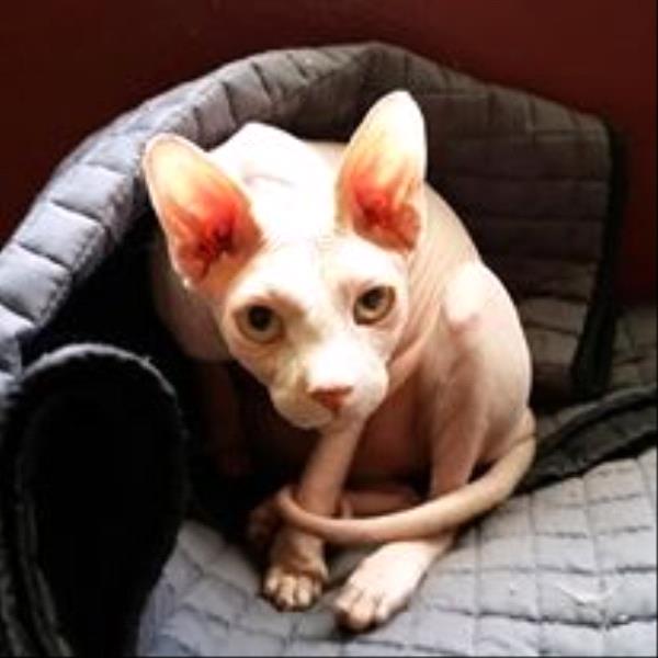 /Images/uploads/Humane Society of Utah/HSUCalendar/entries/1363thumb.jpg